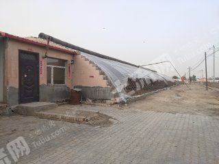 包头昆都仑区高油房1.5亩 温室大棚经营权出租
