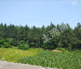 吉林丰满区30000平米度假山庄出租