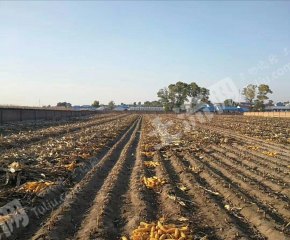 松原宁江区22亩综合养殖用地经营权转让