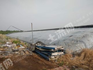 济南市中区 4亩 其它耕地 经营权出租
