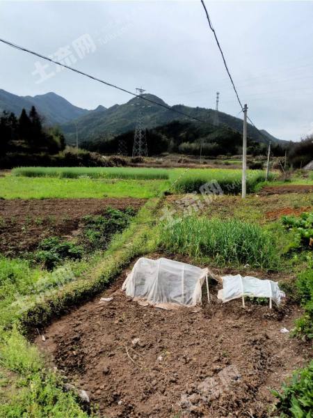 池州东至县50亩水浇地出租