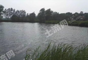 绥化北林区28亩综合养殖用地经营权转让