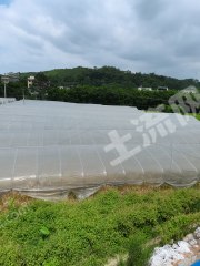 赣州赣县区106亩水浇地大棚经营权出租