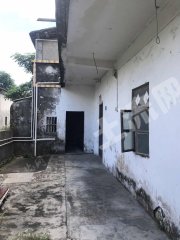 广东/惠州/惠东县220平米农家庭院出租