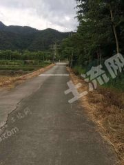 佛山市高明区 15亩休闲度假农场 出租