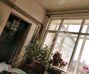 绥化北林区800平米农家庭院出租