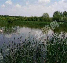 绥化北林区12000平米农家庭院出租