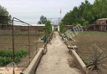 齐齐哈尔富拉尔基区3500平米度假山庄出租