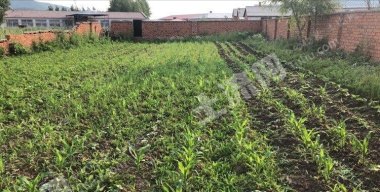 牡丹江西安区1000平米农家庭院出租