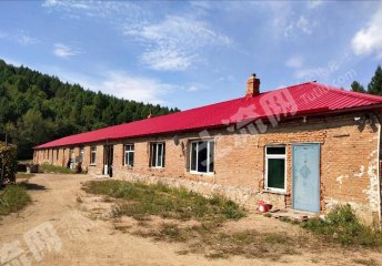 牡丹江西安区740亩荒山出租