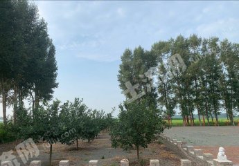 齊齊哈爾龍江縣8000平米度假山莊出租