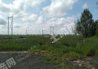 大庆红岗区9亩综合养殖用地经营权转让