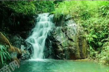 阳江市阳东县 7000亩林地 经营权转让