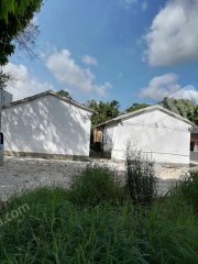 广东/惠州/惠东县凌坑100平米农房带几亩果园出租