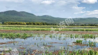 包头达尔罕茂明安联合旗 5000亩 其它林地 经营权转让