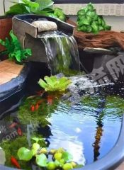 專業(yè)庭院景觀設(shè)計(jì)與施工XX1458