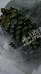 吉林船营区52亩有林地经营权转让