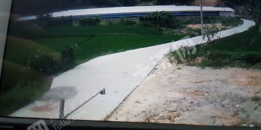 三明将乐县 6亩 人工牧草地 经营权出租