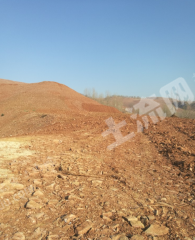 潍坊奎文区10亩沙地出租