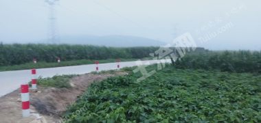 济南平阴县 300亩 水浇地 经营权出租