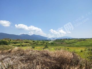 郴州安仁县 1800亩 荒地 出租