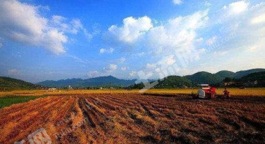 包头固阳县金山镇200亩空闲用地出租