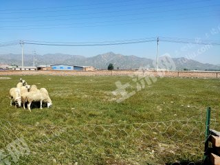 包头九原区乌兰计7亩多空地使用权出租