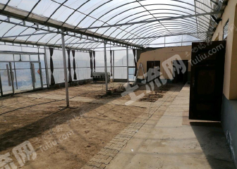 包头固阳县城区内22亩大院（7栋温室）经营权转让