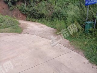 楚雄牟定县270亩其它林地经营权转让