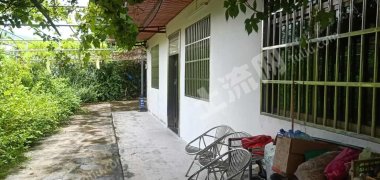 广东/惠州/惠东县200平米农房带5亩果园出租