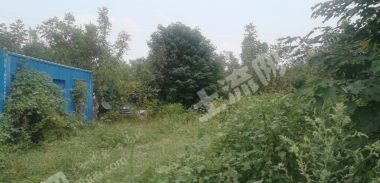 山东济南 6亩 有林地 经营权出租