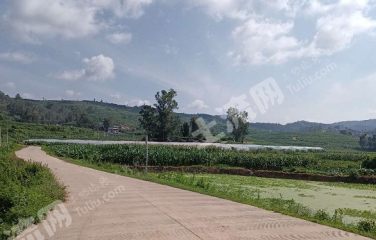 楚雄牟定县 120亩种植基地 经营权转让