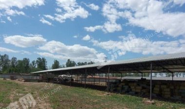 廊坊文安县700亩畜牧养殖用地经营权转让