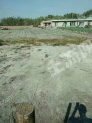 白城洮北区4亩综合养殖用地经营权转让