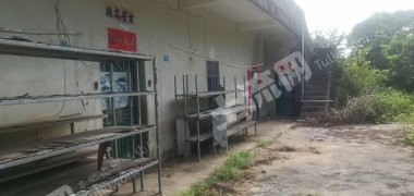 广东/惠州/惠东县250平米农房带2亩地出租