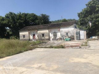 广东/惠州/惠东县凌坑90平米农家庭院出租