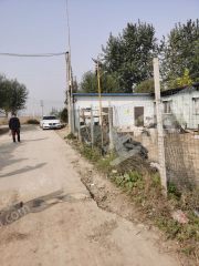 菏泽定陶区 150亩 果园 转让