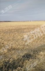 松原宁江区30亩综合养殖用地经营权转让