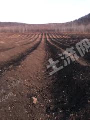 延边汪清县420亩其它园地经营权出租