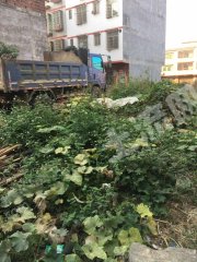 广东/清远/英德市90平米宅基地使用权出租