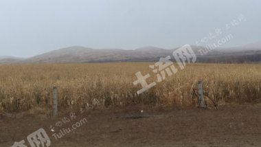 阿勒泰哈巴河县3000亩水浇地  经营权出租