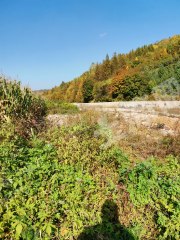 齐齐哈尔泰来县1900亩综合养殖用地经营权转让