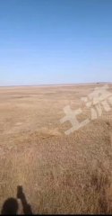 白城洮北区25000亩其它草地经营权出租