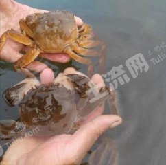 双鸭山友谊县1470亩水产养殖用地经营权出租