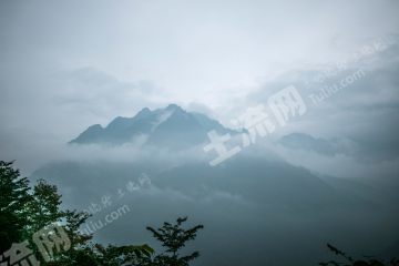 大邑觀云海山居板房使用權(quán)出租