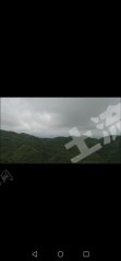 贺州八步区 1800亩 灌木林经营权 出租