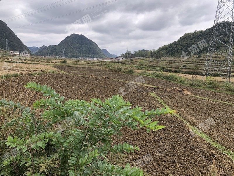 權屬類型: 集體 權證類型: 農村集體土地使用證 地形地貌 平整程度