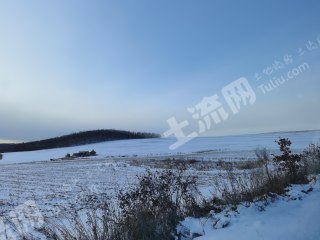 呼伦贝尔鄂伦春自治旗 3000亩 旱地 经营权出租