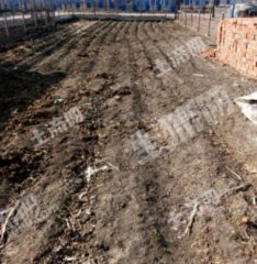 齐齐哈尔克山县100平米宅基地使用权出租