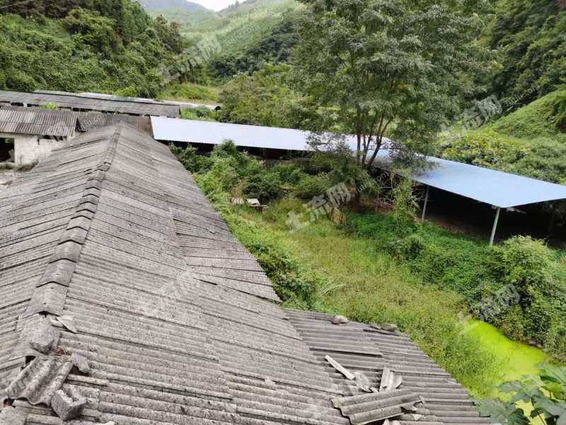 百色凌雲縣7畝綜合養殖用地出租